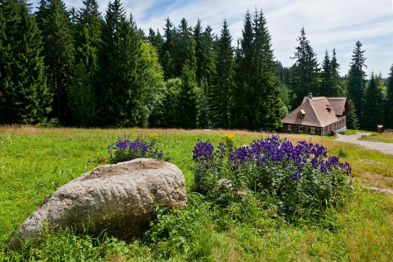 penzion Valentino Bedřichov Exteriér fotografie